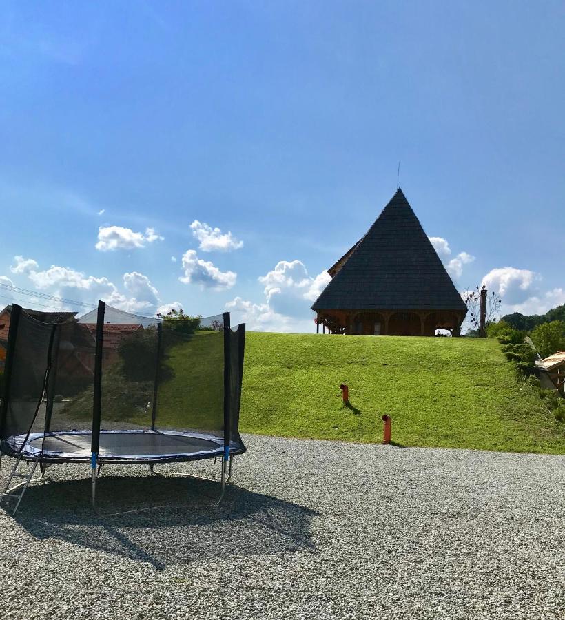 Hotel Casa Ralucai Moisei Zewnętrze zdjęcie