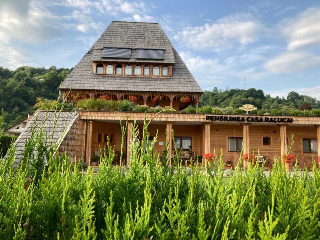 Hotel Casa Ralucai Moisei Zewnętrze zdjęcie