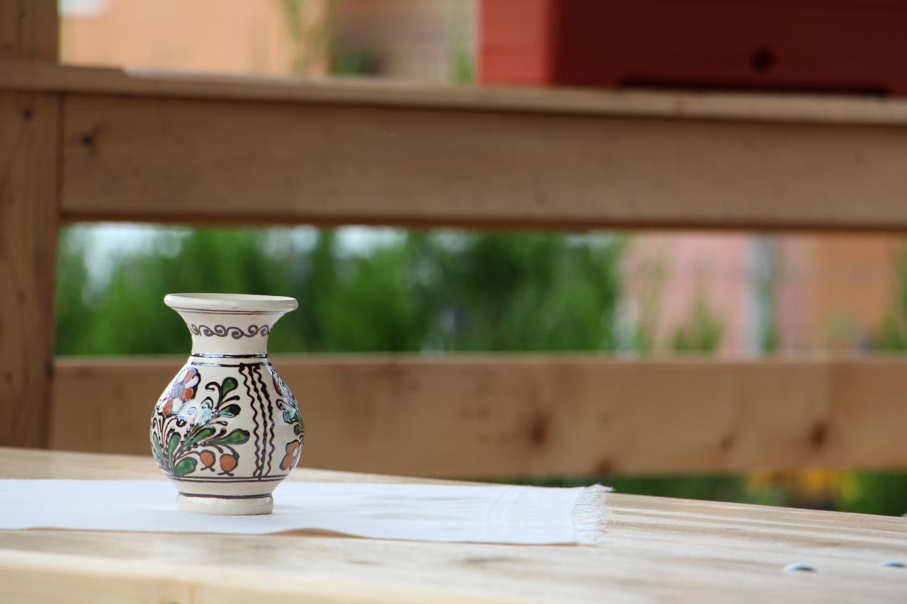 Hotel Casa Ralucai Moisei Zewnętrze zdjęcie