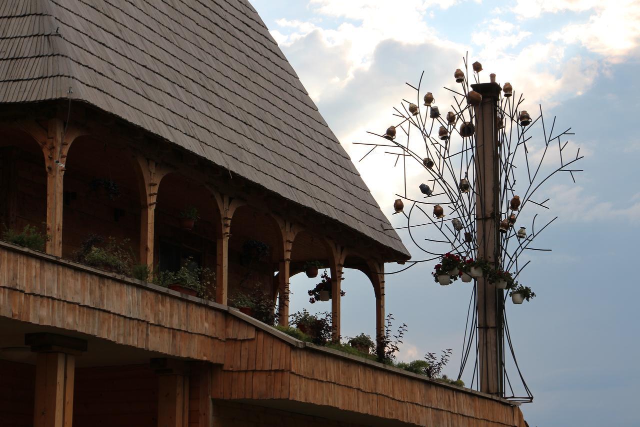 Hotel Casa Ralucai Moisei Zewnętrze zdjęcie