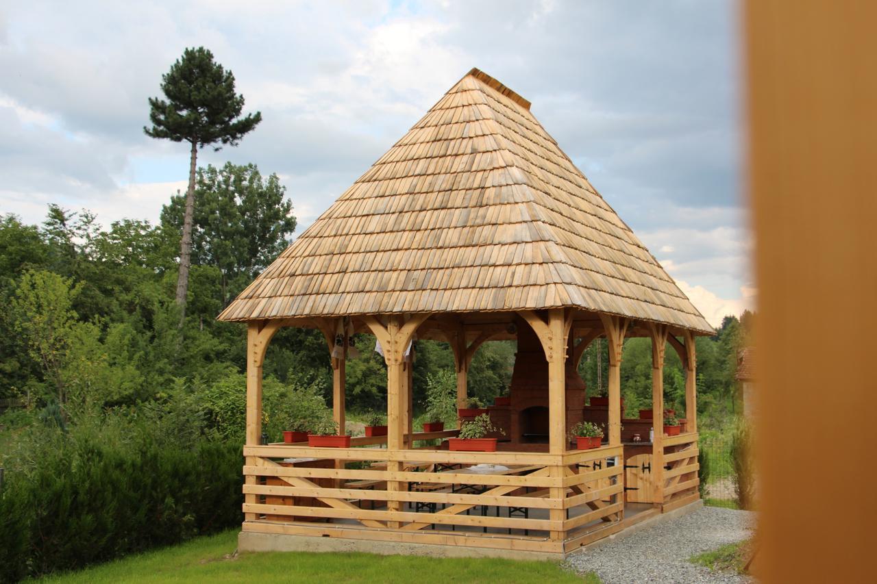Hotel Casa Ralucai Moisei Zewnętrze zdjęcie