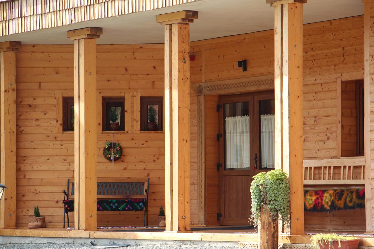 Hotel Casa Ralucai Moisei Zewnętrze zdjęcie
