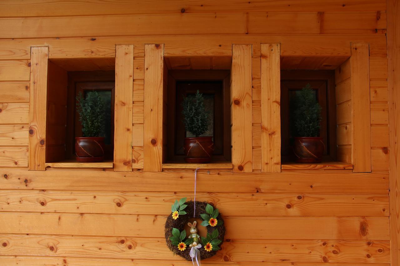 Hotel Casa Ralucai Moisei Zewnętrze zdjęcie