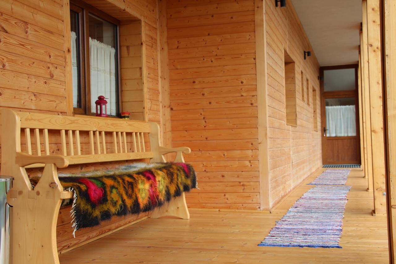 Hotel Casa Ralucai Moisei Zewnętrze zdjęcie