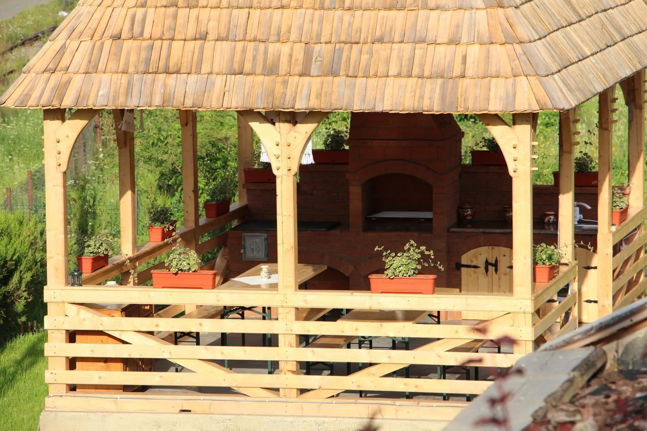 Hotel Casa Ralucai Moisei Zewnętrze zdjęcie