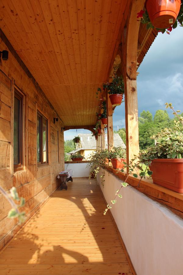 Hotel Casa Ralucai Moisei Zewnętrze zdjęcie